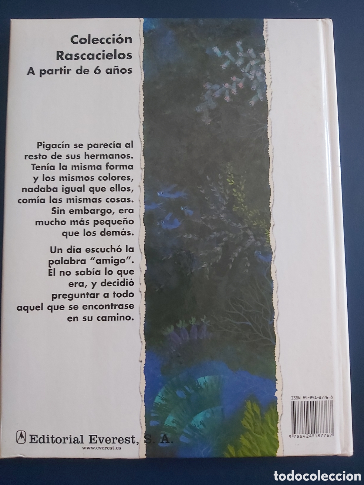 Libros de segunda mano: PIGAC&Iacute;N A. G&Oacute;MEZ EVEREST 2005 - Foto 9