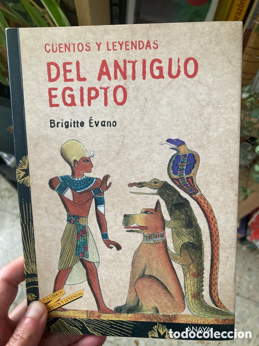Libros de segunda mano: CUENTOS Y LEYENDAS DEL ANTIGUO EGIPTO-BRIGITTE EVANO