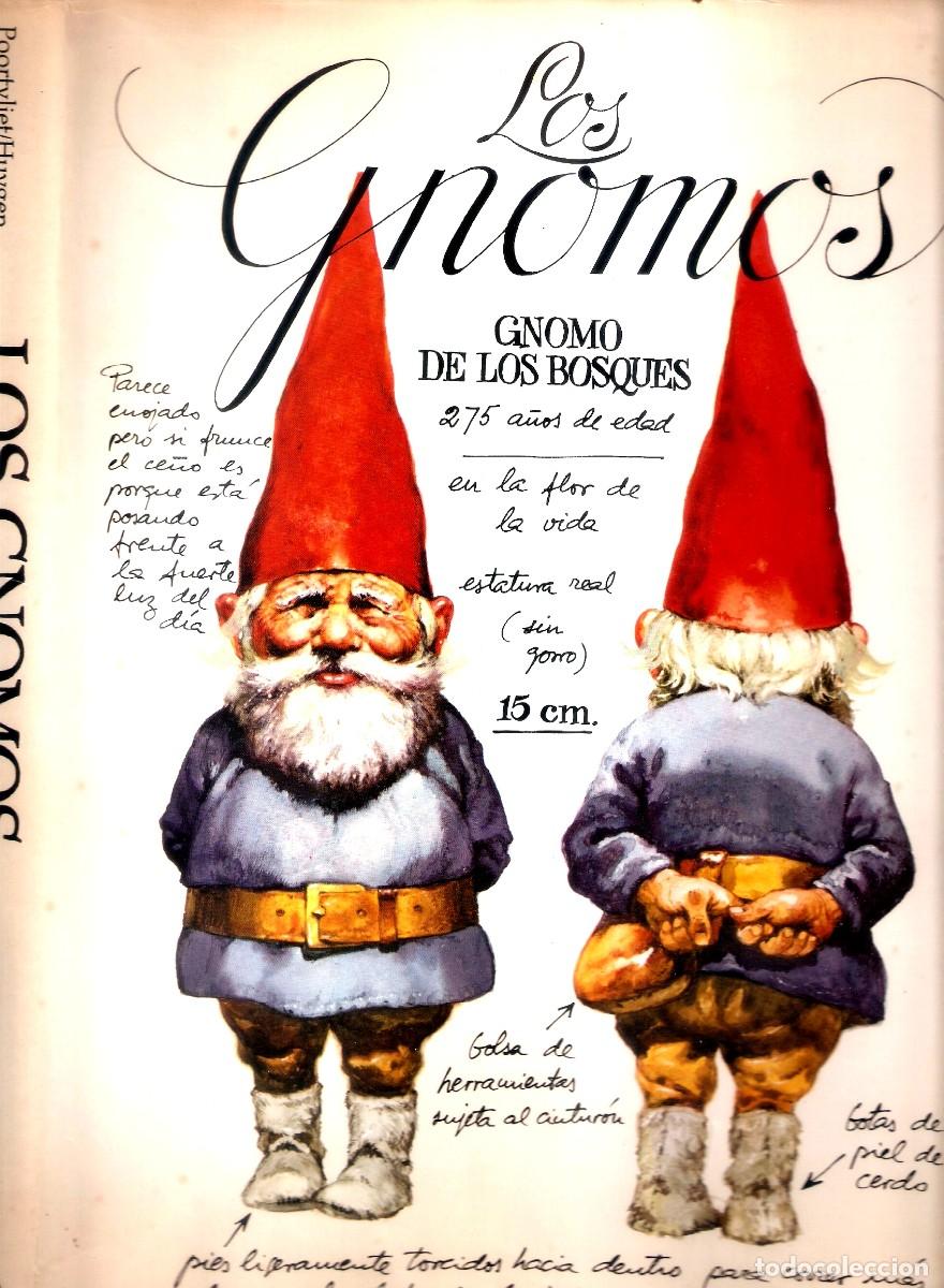 Libros de segunda mano: GNOMOS Autor Poortvlier, ilustrador - Foto 2