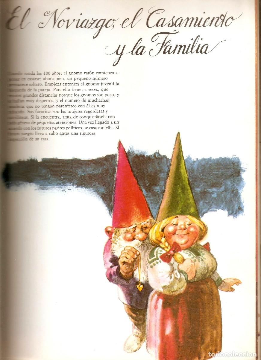 Libros de segunda mano: GNOMOS Autor Poortvlier, ilustrador - Foto 9