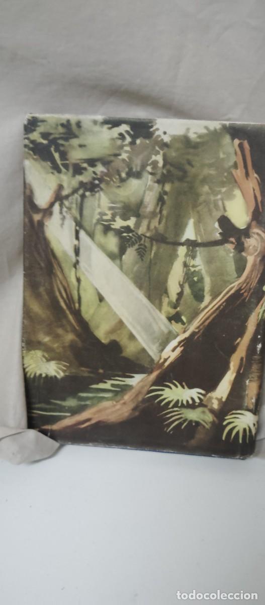 Libros de segunda mano: La selva humillada ... - Foto 4
