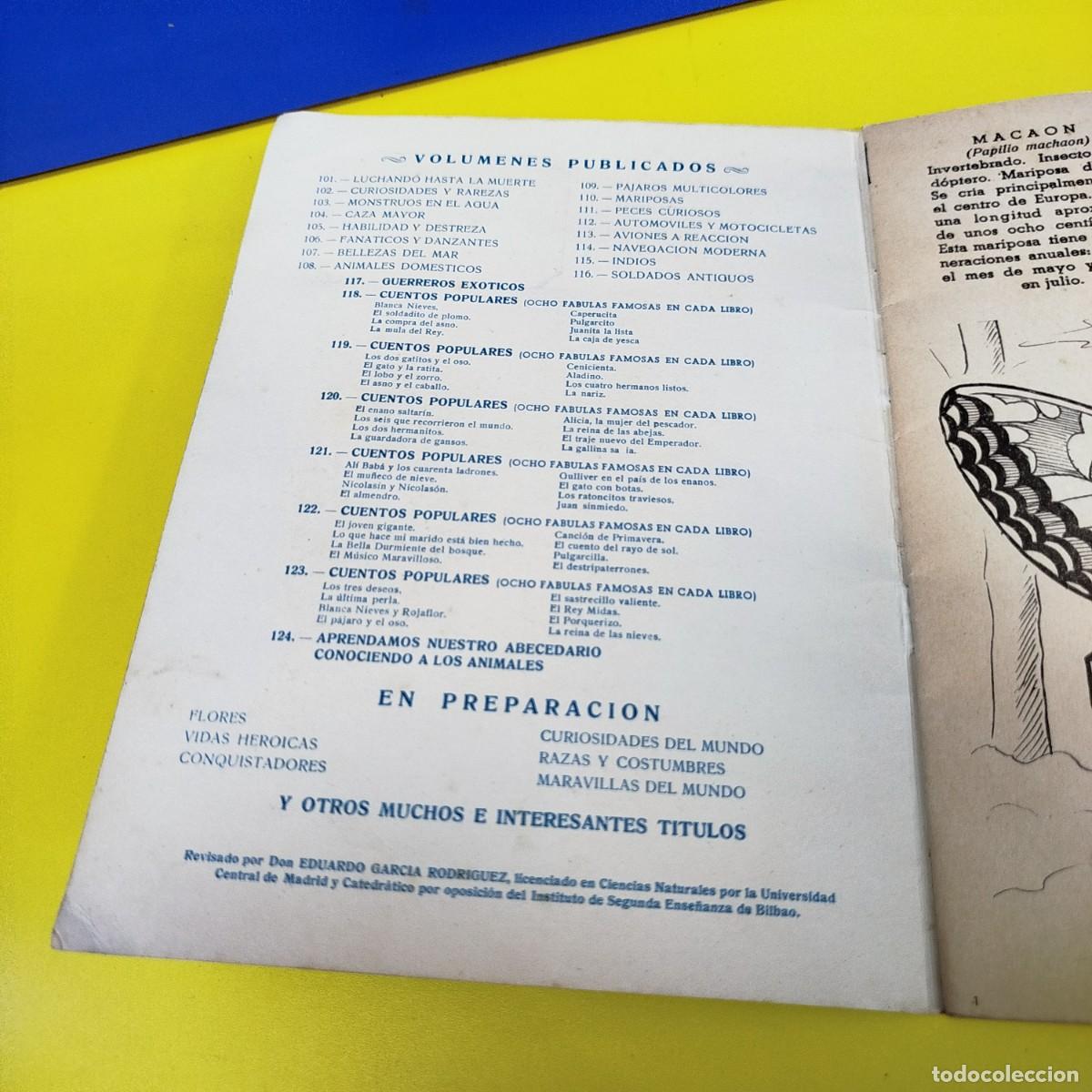 Libros de segunda mano: COLECCION CROMOFHER - MARIPOSAS - LIBRO N&ordm;110 - Foto 3