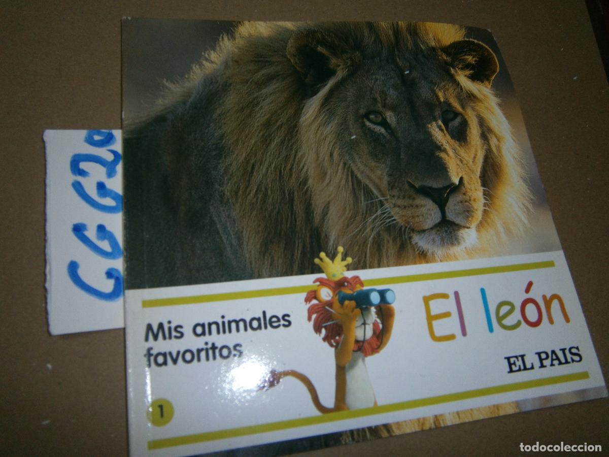 Libros de segunda mano: MIS ANIMALES FAVORITOS - EL LEON - Foto 1