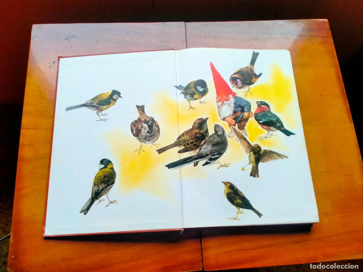Libros de segunda mano: Los Gnomos. Ediciones Montena. Leer descripci&oacute;n. - Foto 2
