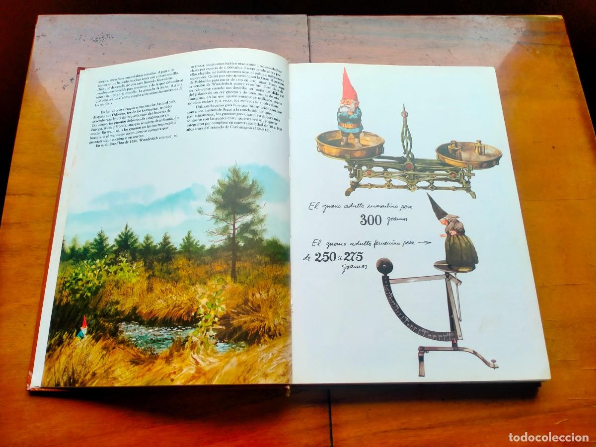 Libros de segunda mano: Los Gnomos. Ediciones Montena. Leer descripci&oacute;n. - Foto 5