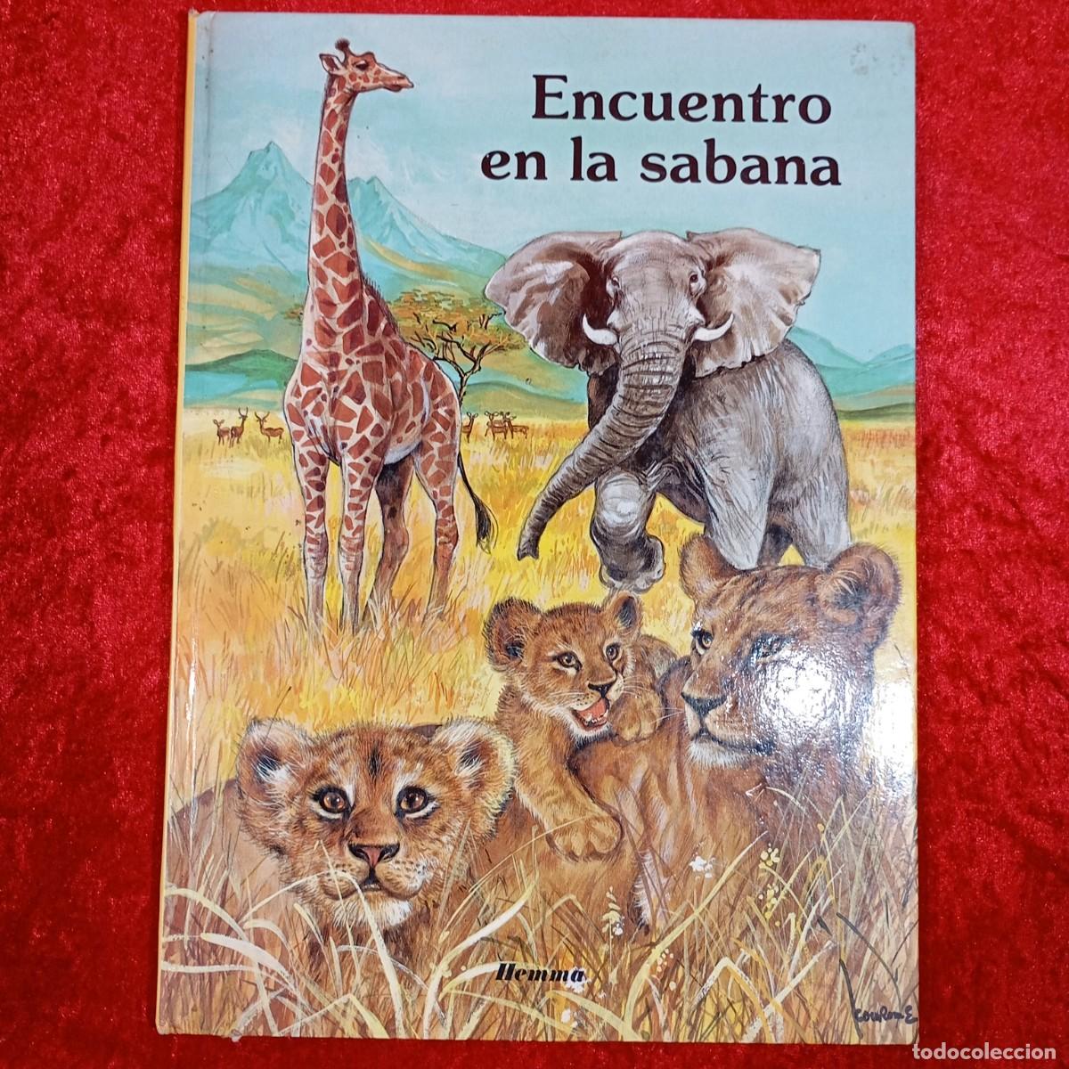 Libros de segunda mano: ENCUENTO EN LA SABANA - EDICIONES HEMMA / 142 - Foto 1
