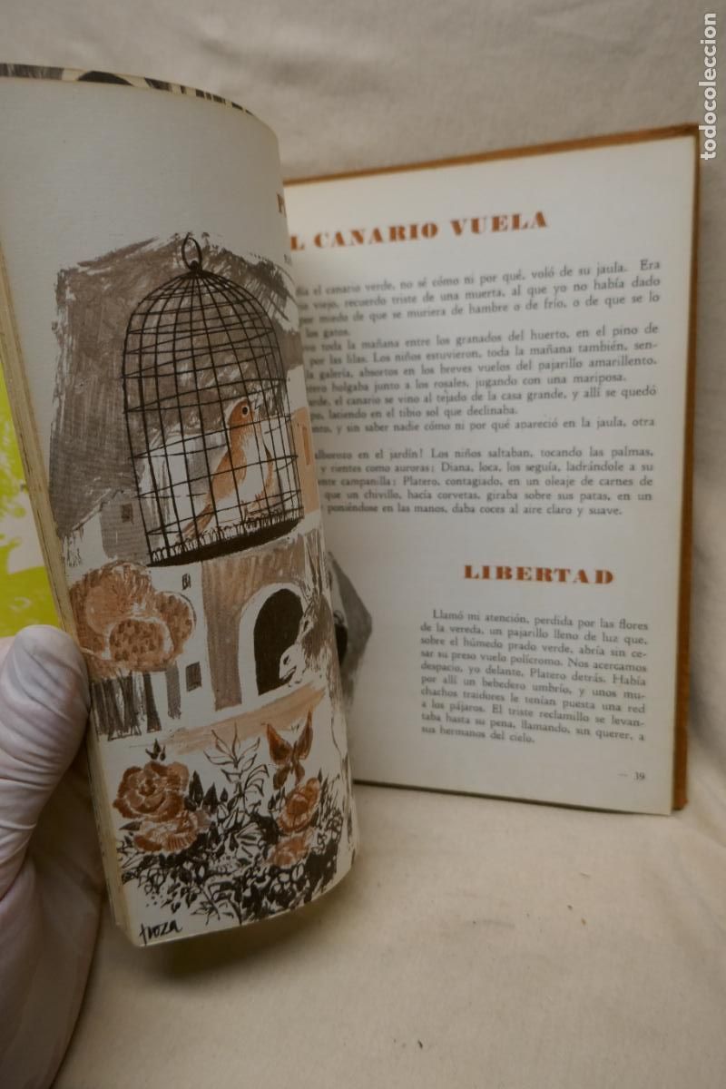 Libros de segunda mano: Cuentos Leyendas. Selecci&oacute;n: Francisco Ribes. 1967 - Foto 7