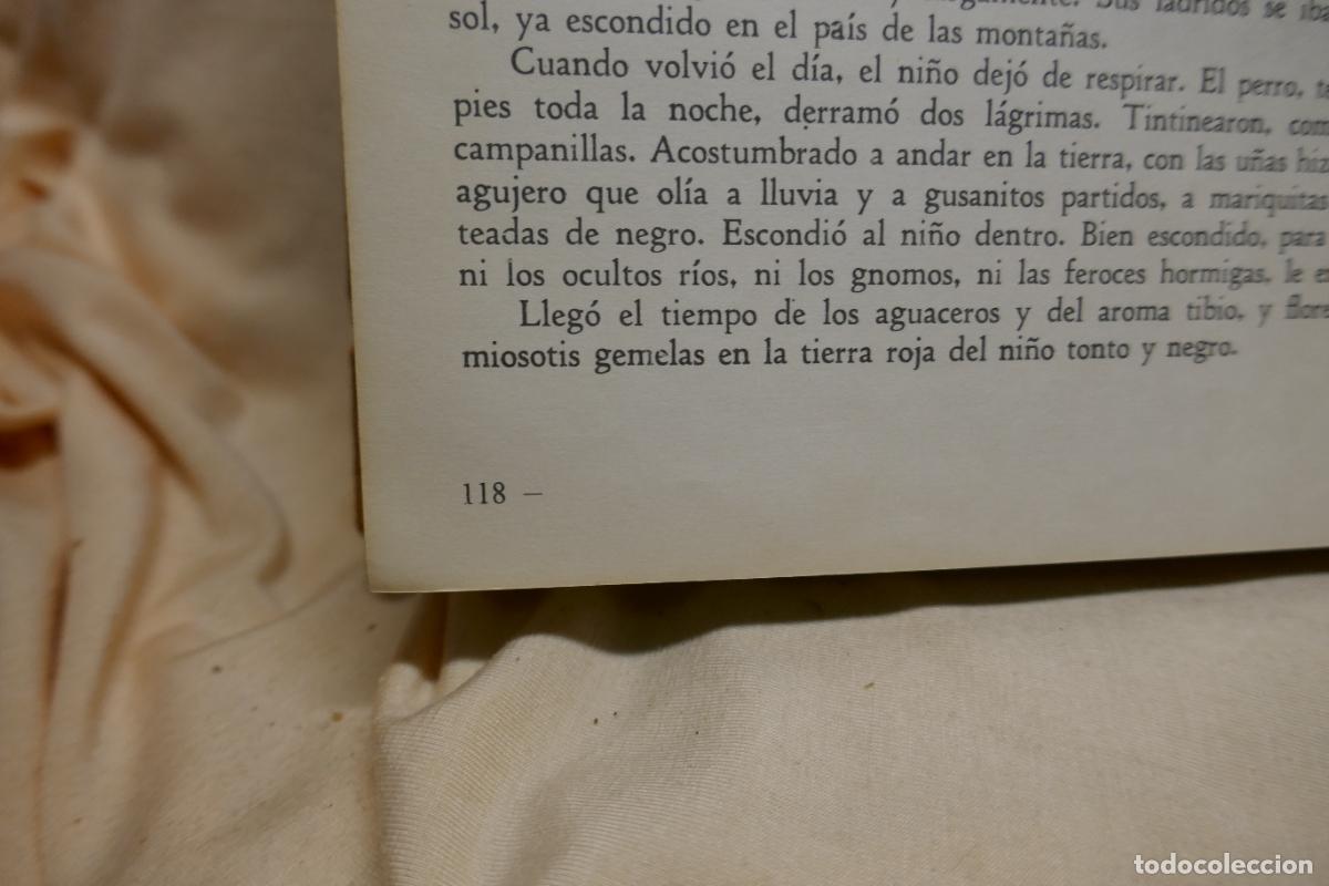 Libros de segunda mano: Cuentos Leyendas. Selecci&oacute;n: Francisco Ribes. 1967 - Foto 12