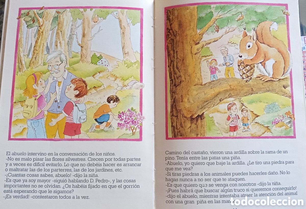 Libros de segunda mano: LIBRO EL BOSQUE MAGICO. - Foto 2