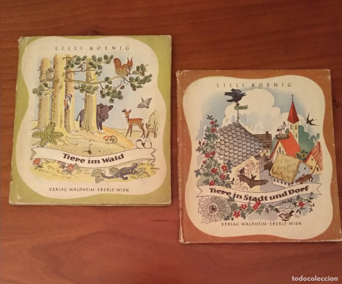 Libros de segunda mano: LILLI KOENIG 2 CONTES illust.TIERE im WALD,TIERE in STADT und DORF, Verl.Waldheim-Eberle, WIEN, 1950