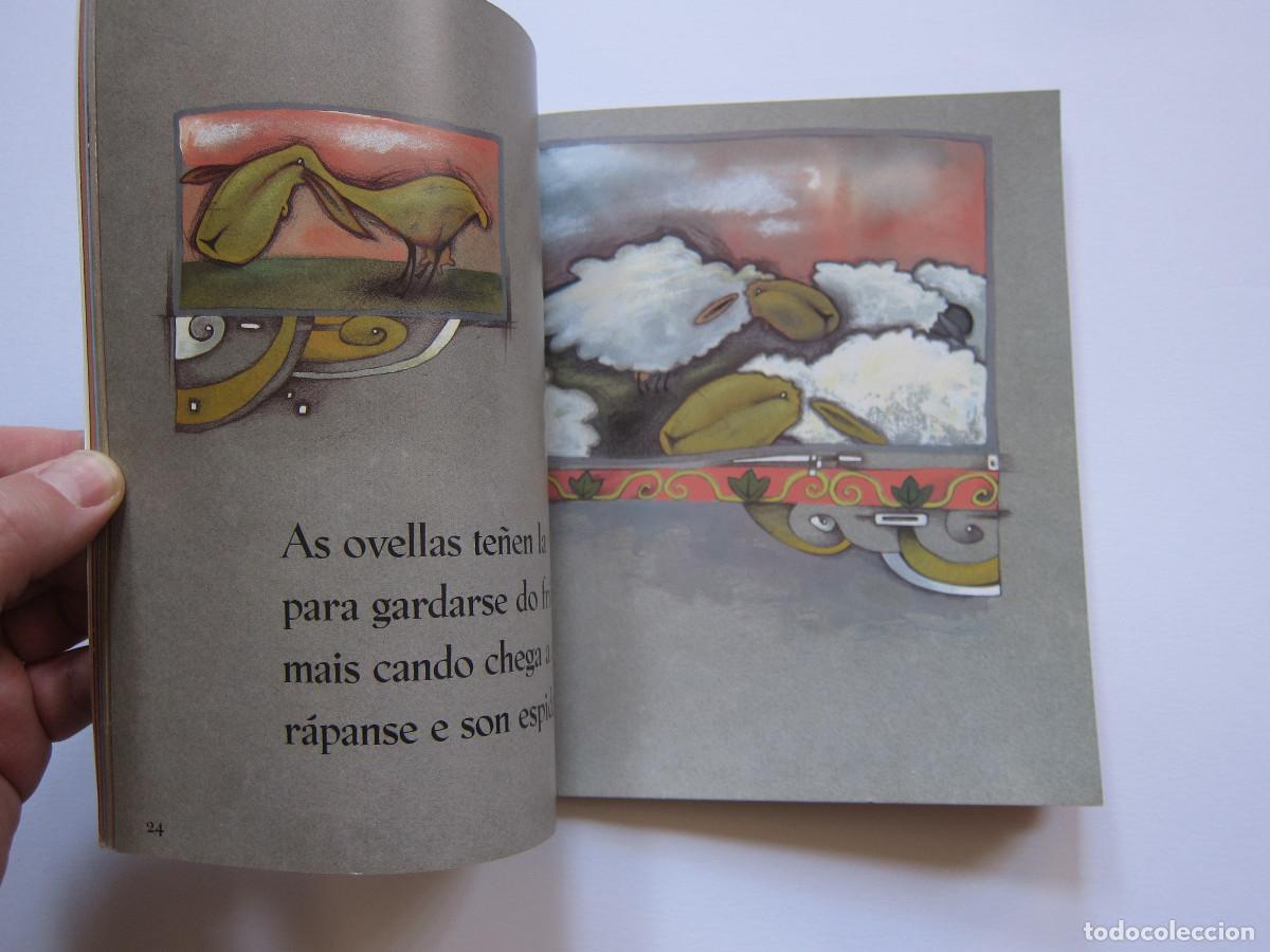 Libros de segunda mano: MICIF&Uacute; E OS SEUS AMIGOS (EVEREST) INFANTIL - Foto 4