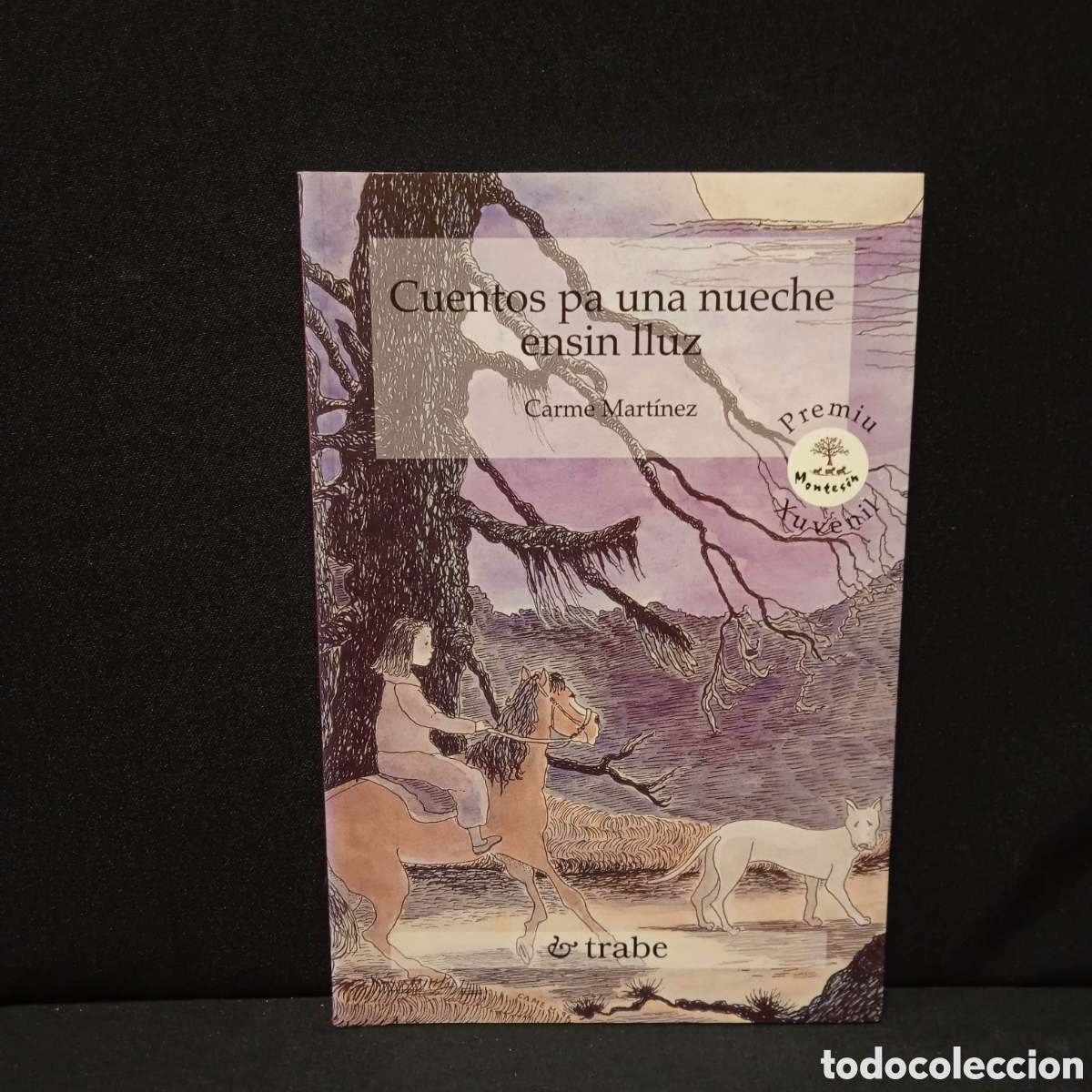 Libros de segunda mano: CUENTOS PA UNA NUECHE ENSIN LLUZ - CARME MART&Iacute;NEZ - TRABE 1998 EN LENGUA ASTURIANA #8955