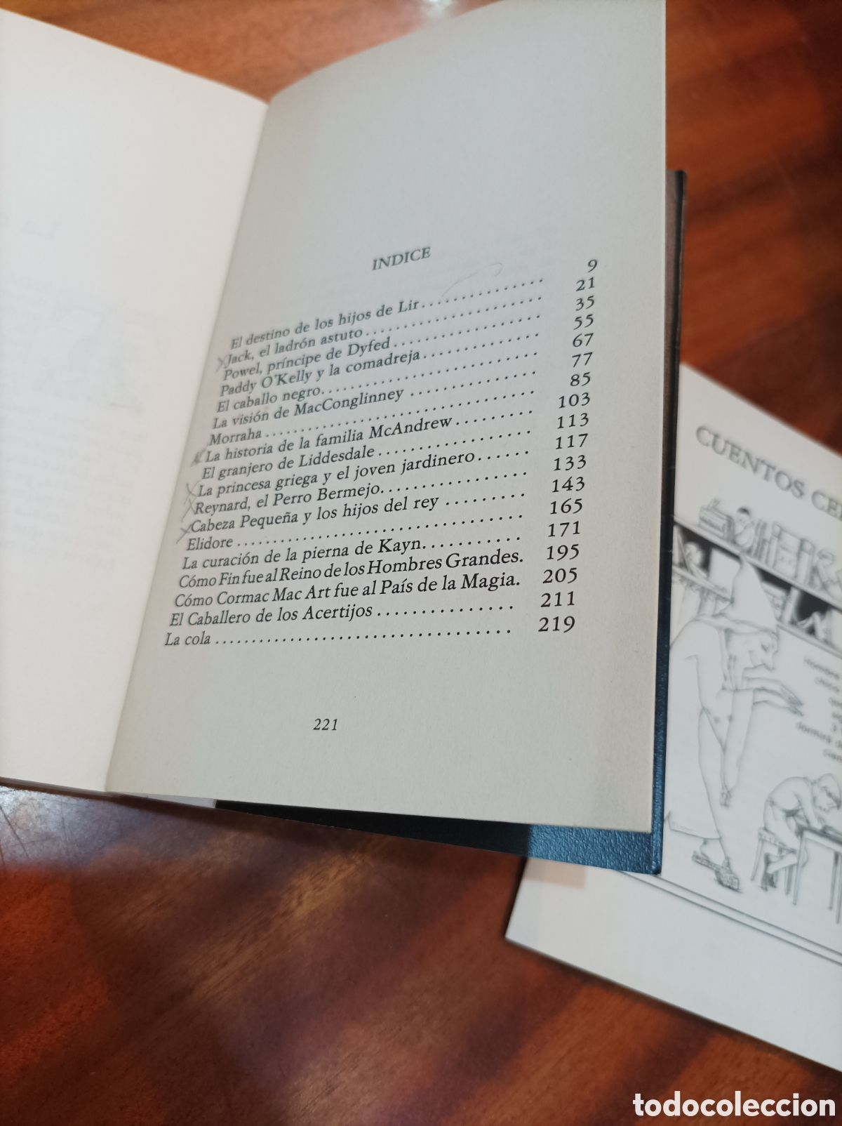 Libros de segunda mano: CUENTOS CELTAS, INCLUYE SEPARATA.LIBROS DE LOS MALOS TIEMPOS.ED1992 - Foto 2