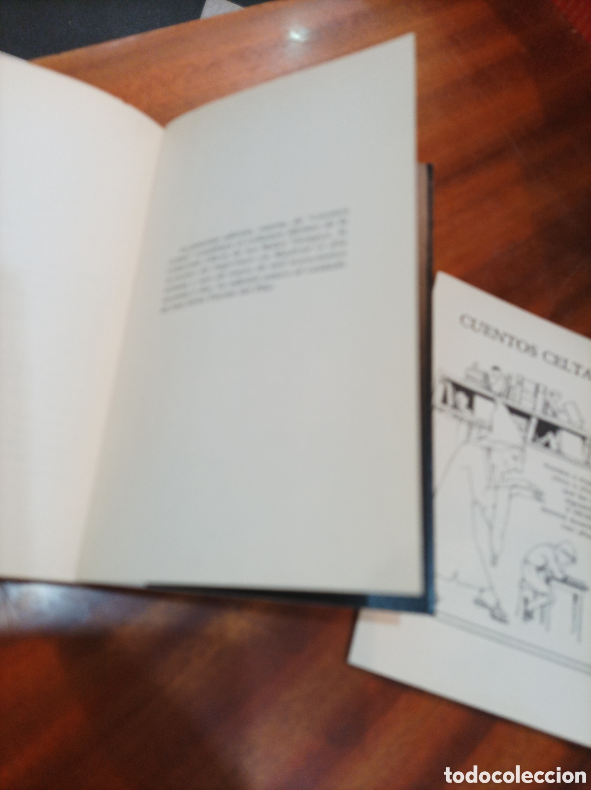 Libros de segunda mano: CUENTOS CELTAS, INCLUYE SEPARATA.LIBROS DE LOS MALOS TIEMPOS.ED1992 - Foto 3
