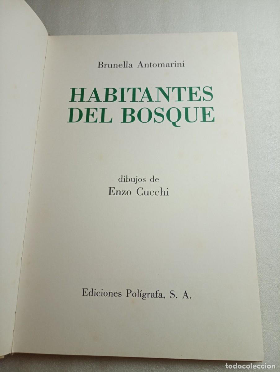 Libros de segunda mano: HABITANTES DEL BOSQUE BRUNELLA ANTOMARINI - Foto 2
