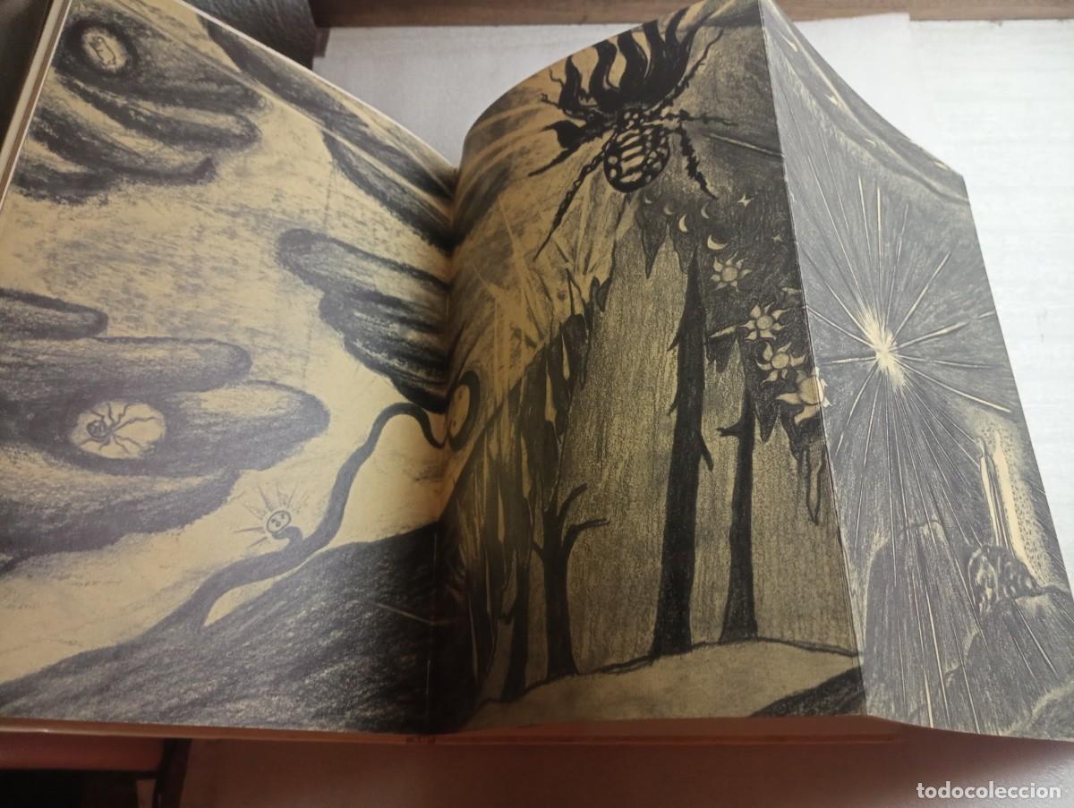 Libros de segunda mano: HABITANTES DEL BOSQUE BRUNELLA ANTOMARINI - Foto 3