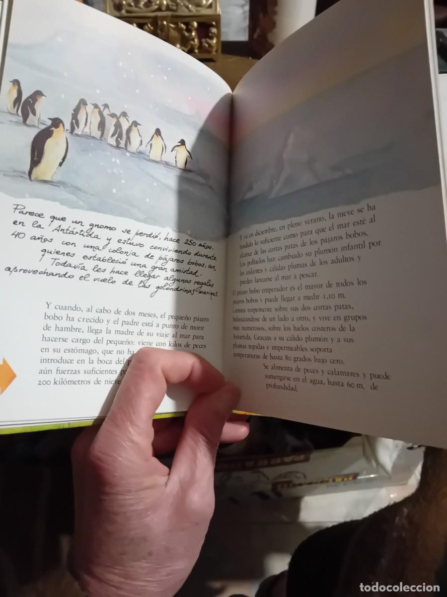 Libros de segunda mano: El libro secreto de los gnomos tomo 12 - Foto 2