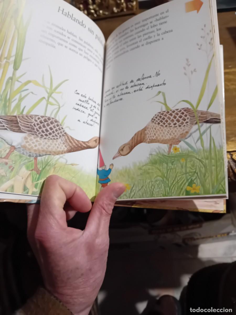 Libros de segunda mano: El libro secreto de los gnomos tomo 19 - Foto 2