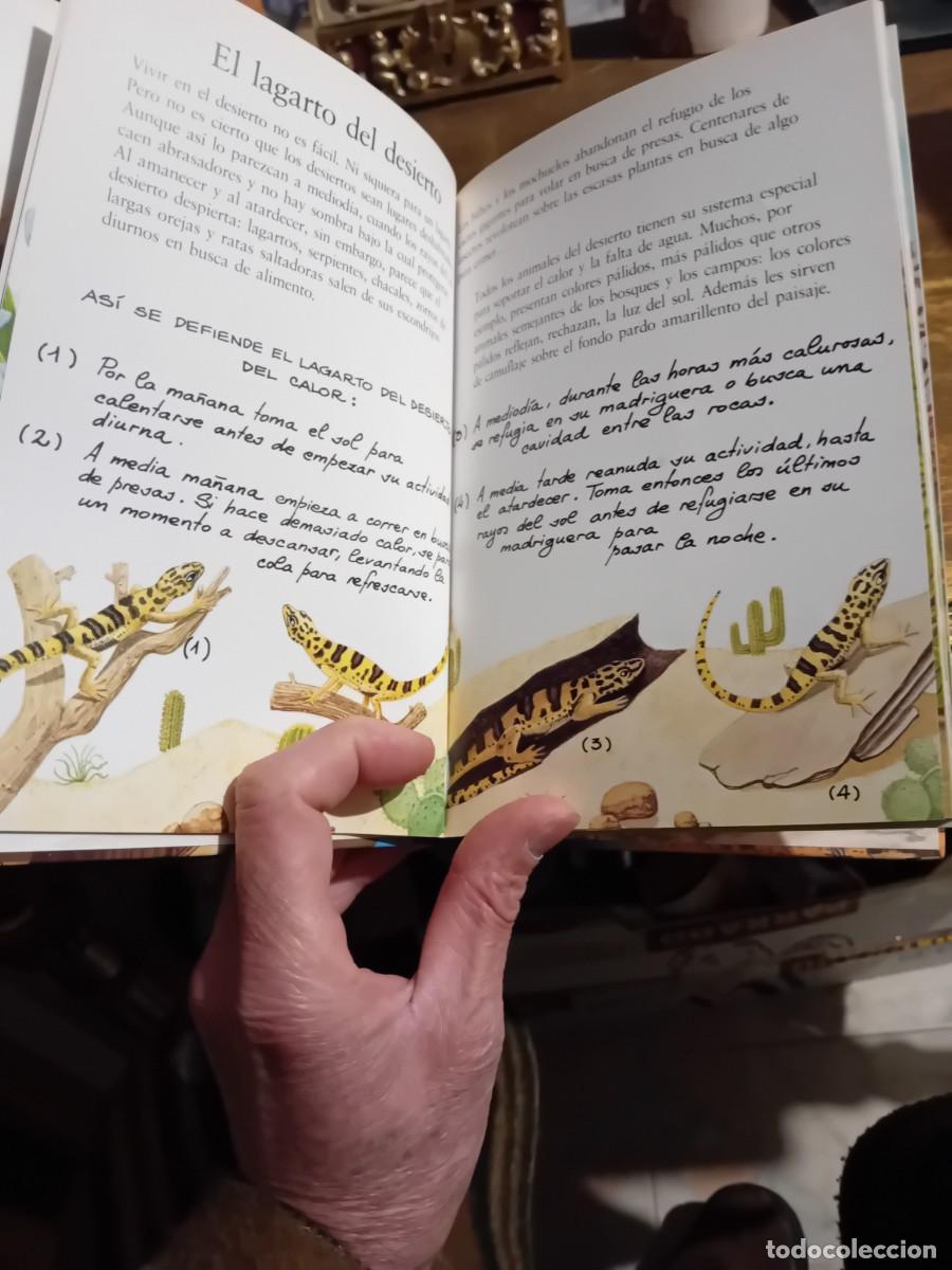 Libros de segunda mano: El libro secreto de los gnomos tomo 22 - Foto 2