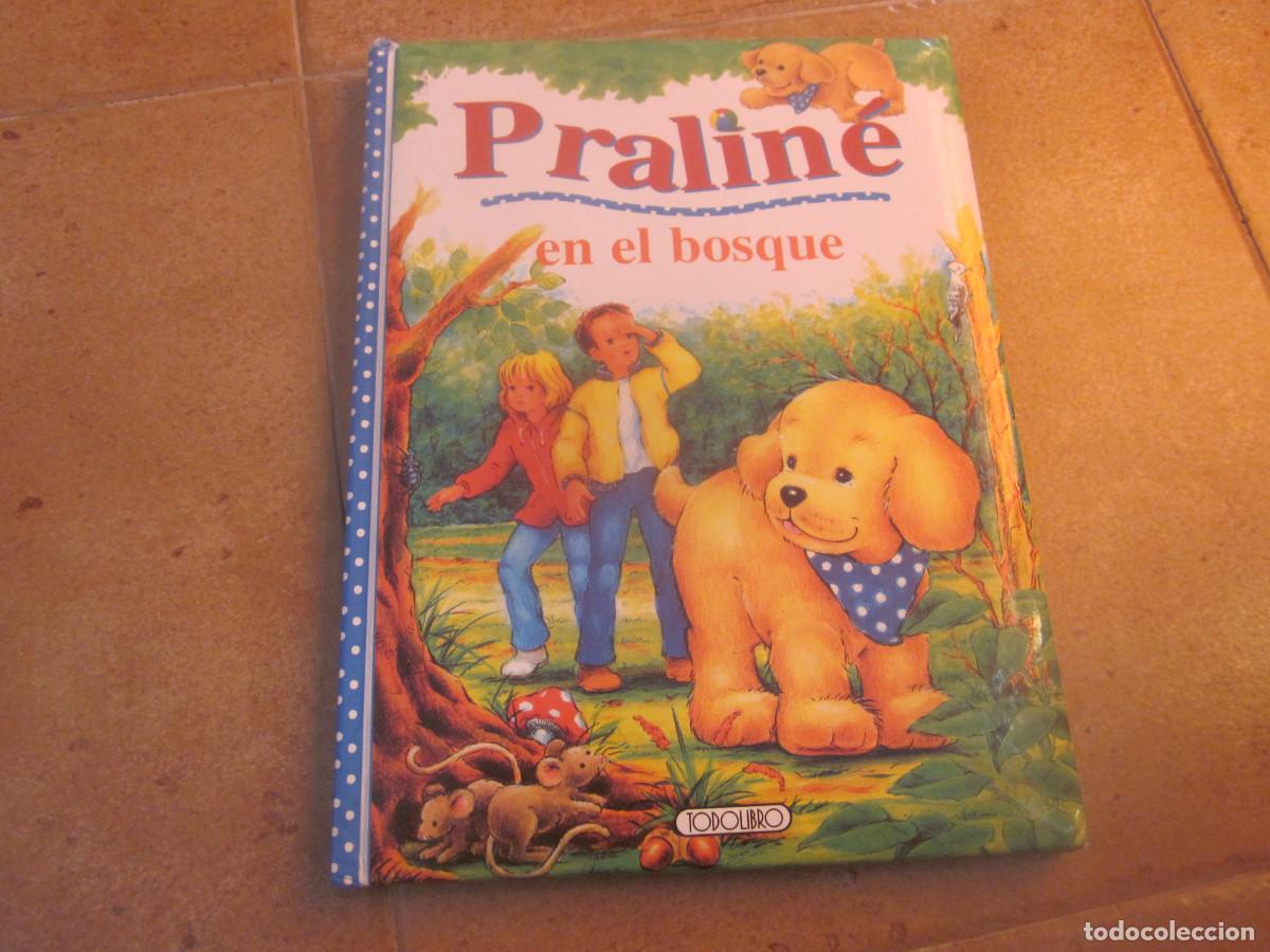Libros de segunda mano: PRALINE EN EL BOSQUE - TODOLIBRO - Foto 1