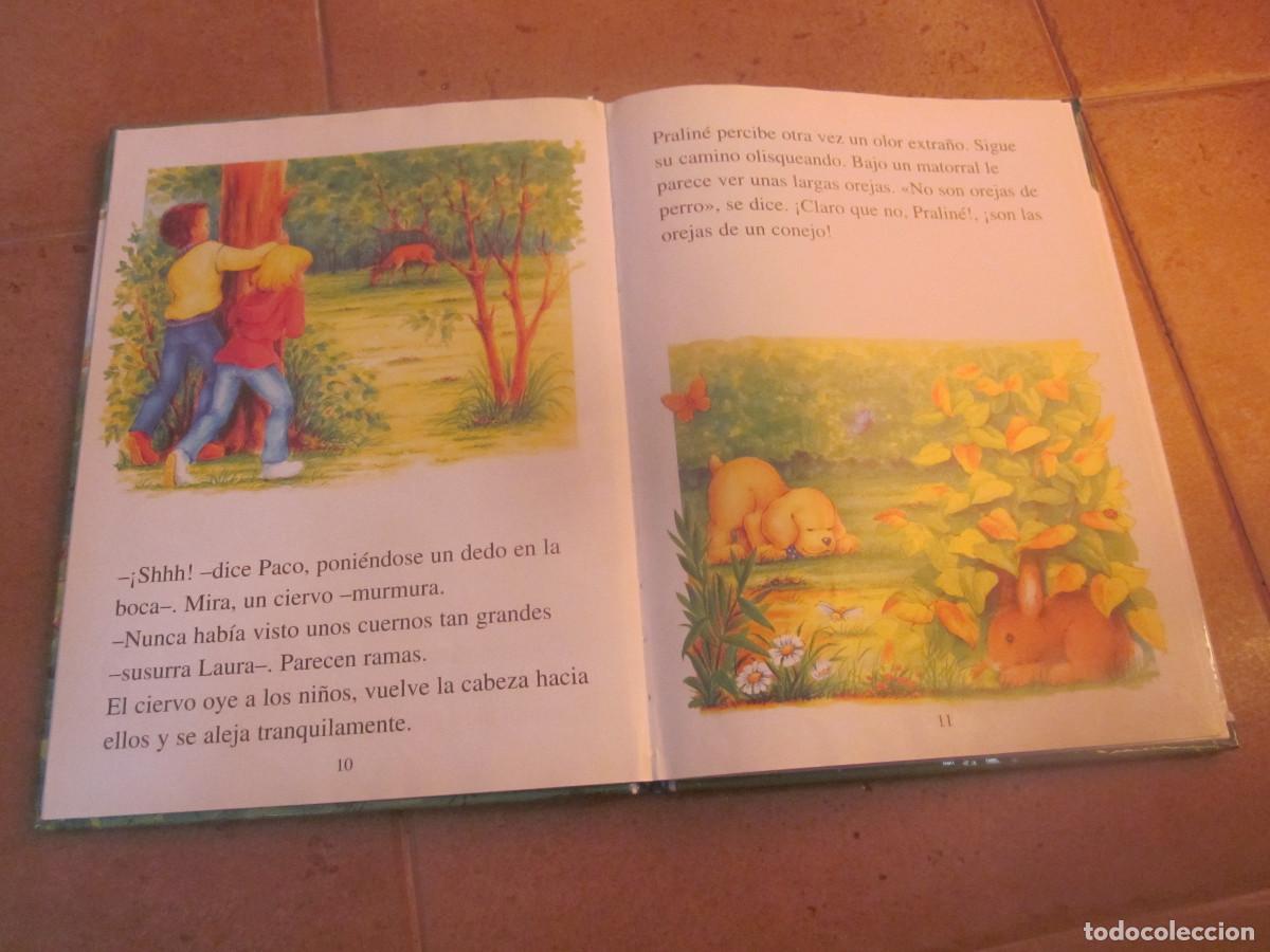 Libros de segunda mano: PRALINE EN EL BOSQUE - TODOLIBRO - Foto 2