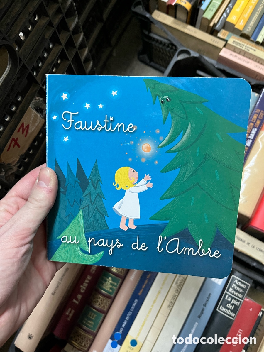 Libri di seconda mano: Caja73 Faustine au pays de l'Ambre, franc&eacute;s, hojas en carton&eacute;