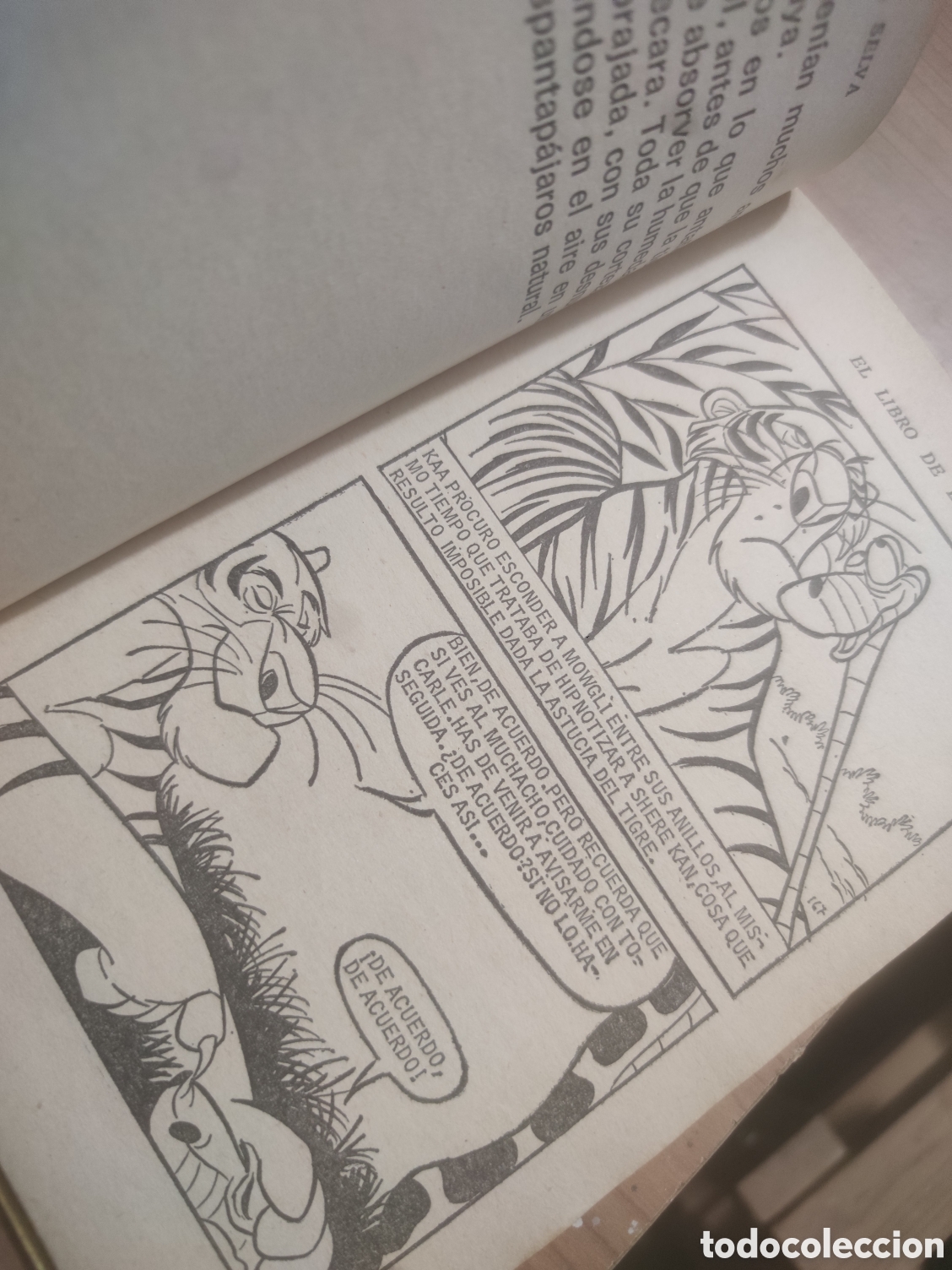Libros de segunda mano: EL LIBRO DE LA SELVA - Foto 3