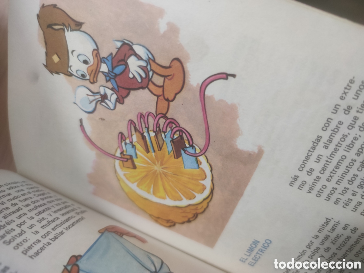 Libros de segunda mano: LOS J&Oacute;VENES CASTORES - Foto 2