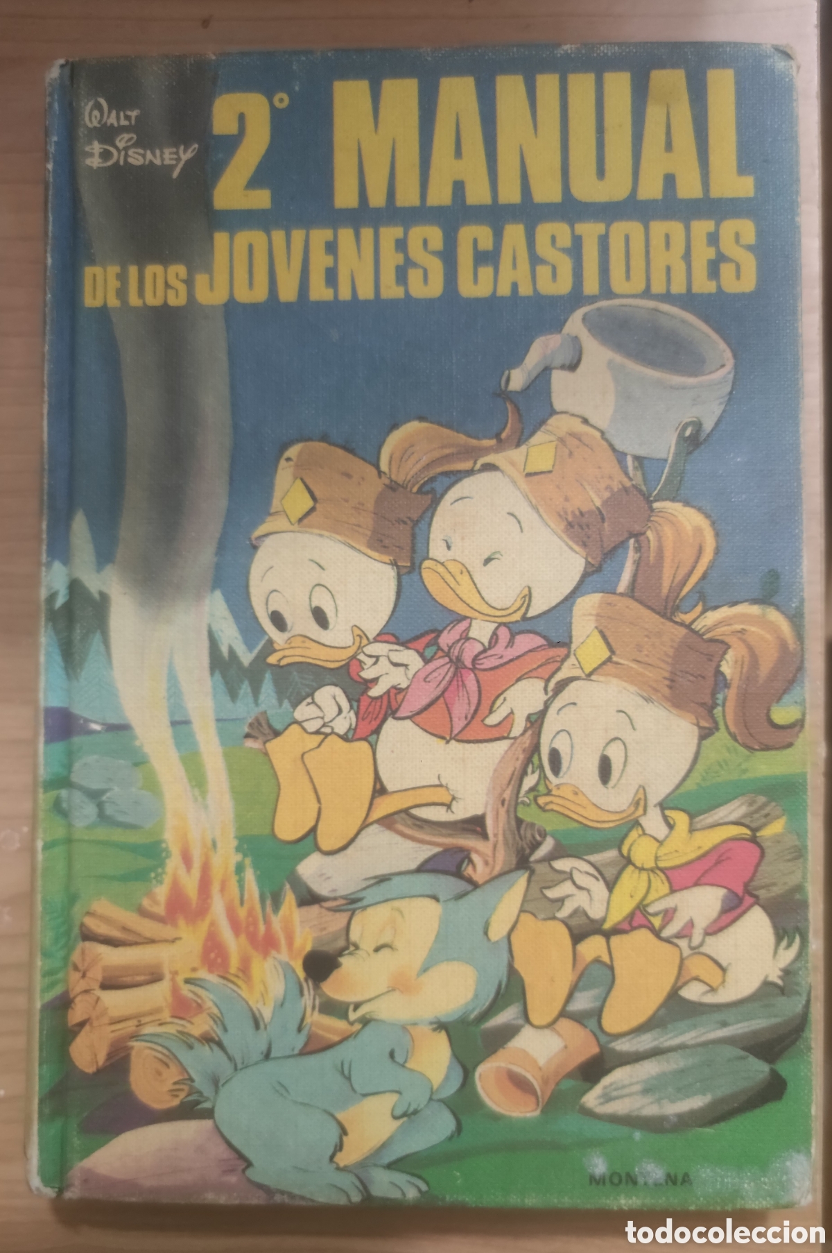Libros de segunda mano: LOS J&Oacute;VENES CASTORES - Foto 1