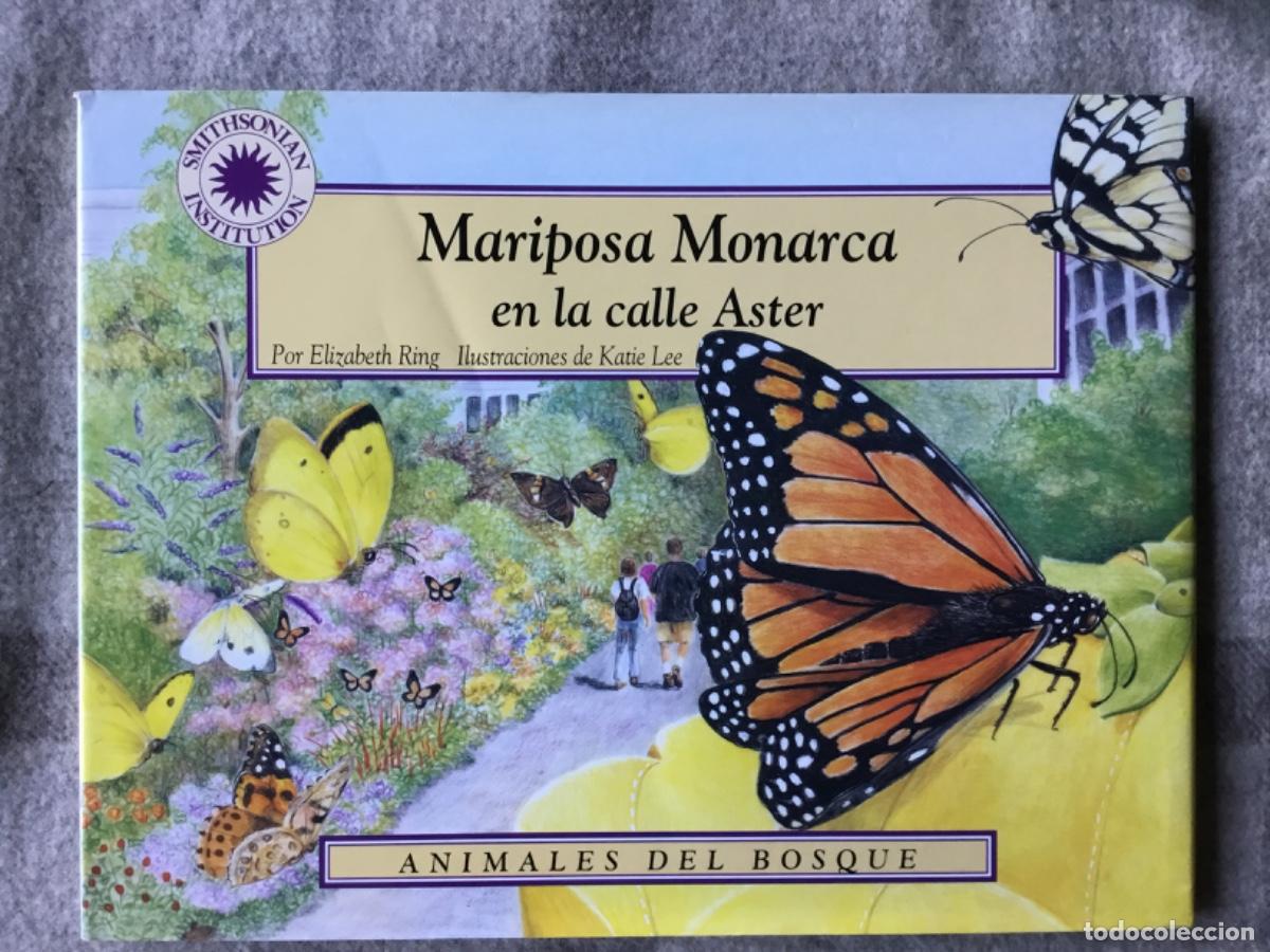 Libros de segunda mano: MARIPOSA MONARCA EN LA CALLE ASTER // ELIZABETH RING // SMITHSONIAN INSTITUTION // KATIE LEE ILUSTRA