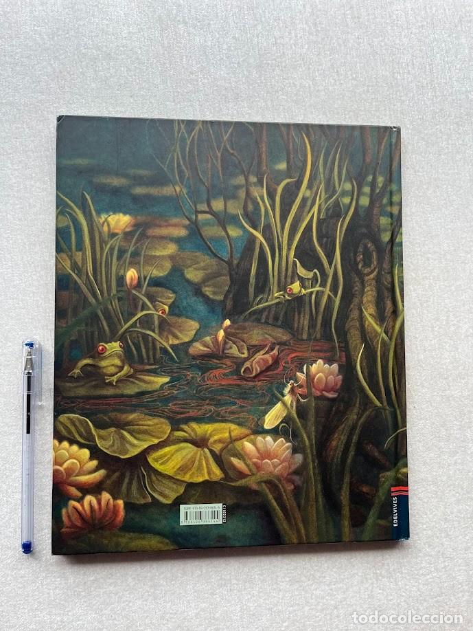 Libros de segunda mano: Ondina / Benjamin Lacombe / Edelvives/ - Foto 2