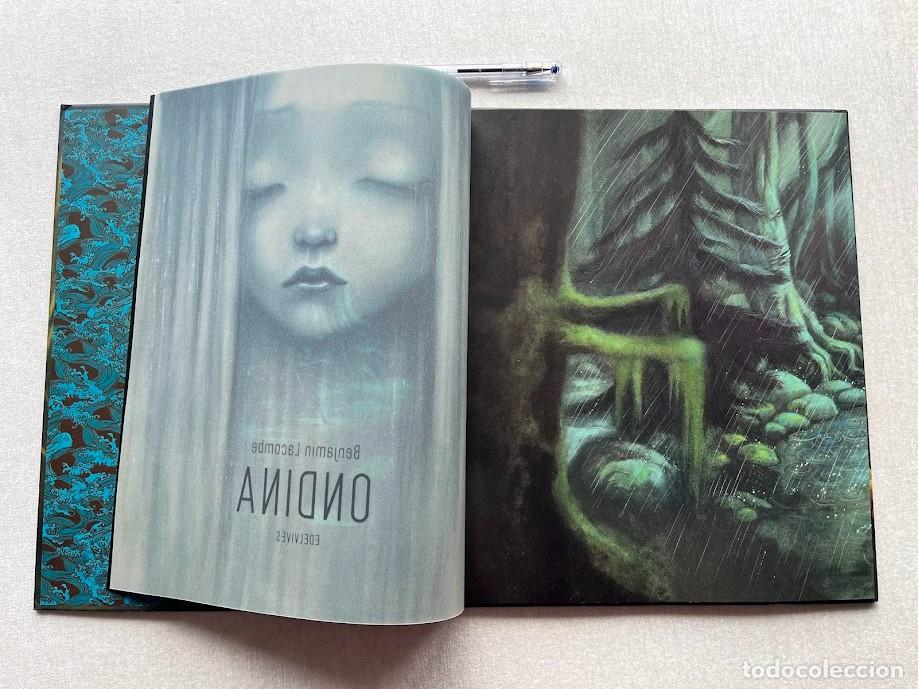 Libros de segunda mano: Ondina / Benjamin Lacombe / Edelvives/ - Foto 5