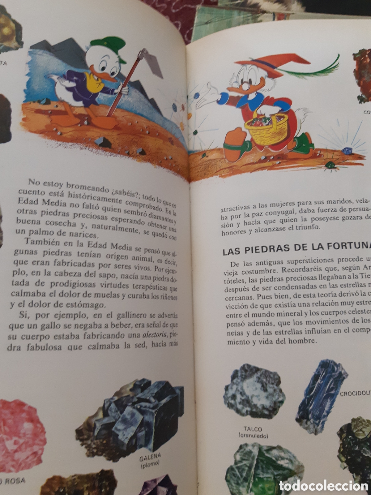Libros de segunda mano: Enciclopedia Disney. Ediciones Montena. 1982 - Foto 7
