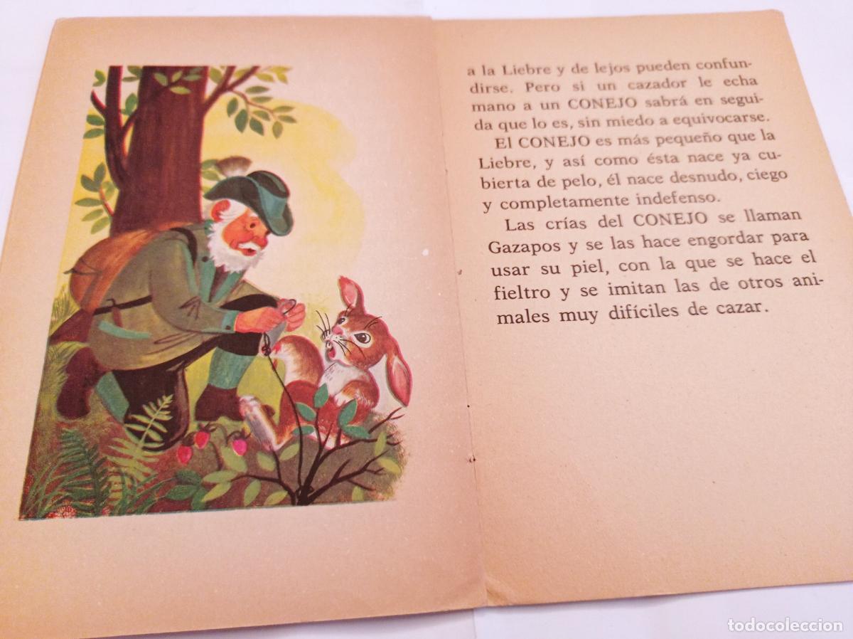 Libros de segunda mano: EL CONEJO - Editorial Roma num. 15 - Foto 2