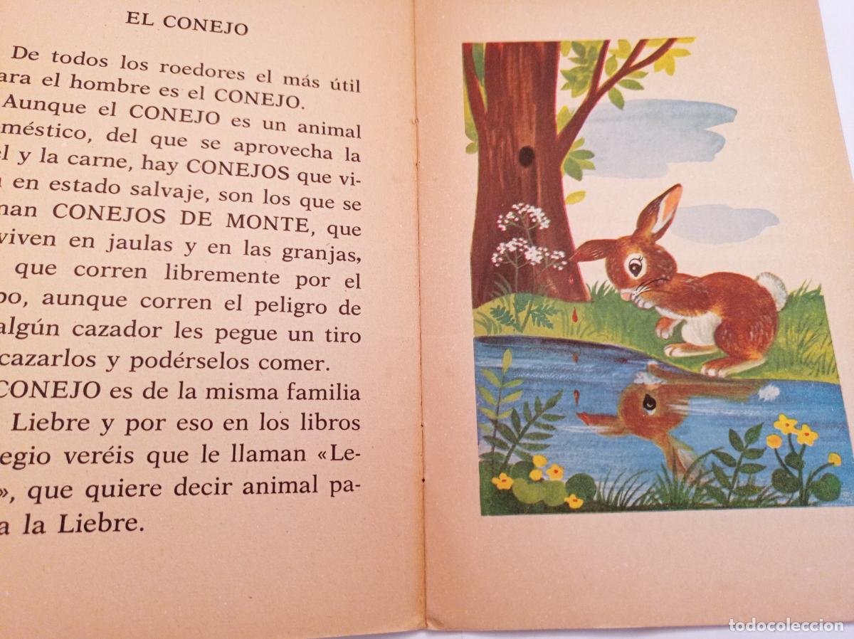Libros de segunda mano: EL CONEJO - Editorial Roma num. 15 - Foto 3