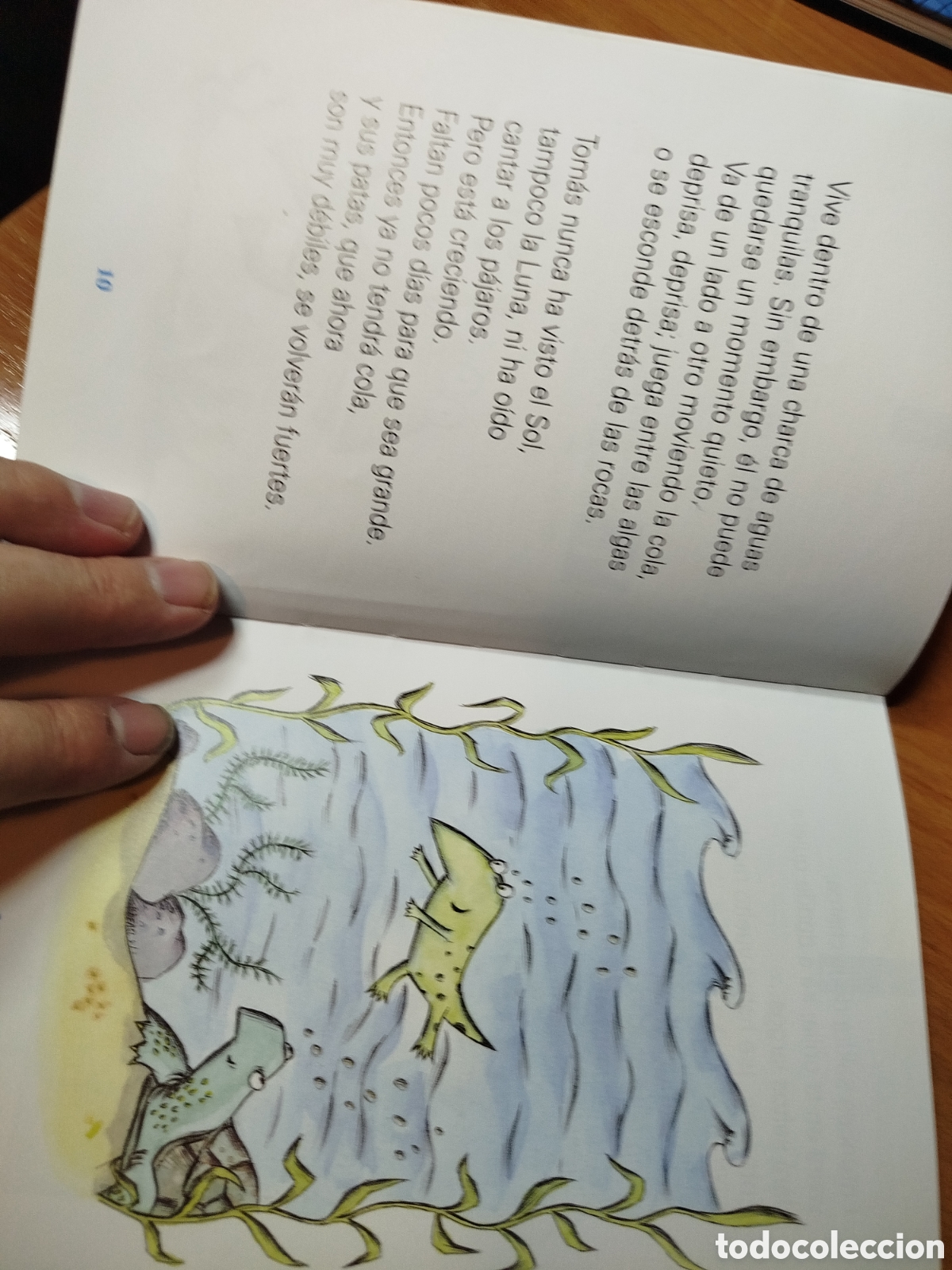 Libros de segunda mano: Tom&aacute;s es distinto a los dem&aacute;s. Concha L&oacute;pez nav&aacute;ez. Bru&ntilde;o. - Foto 3