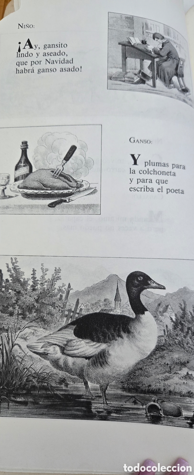 Libros de segunda mano: Cuento troquelado, &rdquo;Vamos de paseo&rdquo; - Foto 3