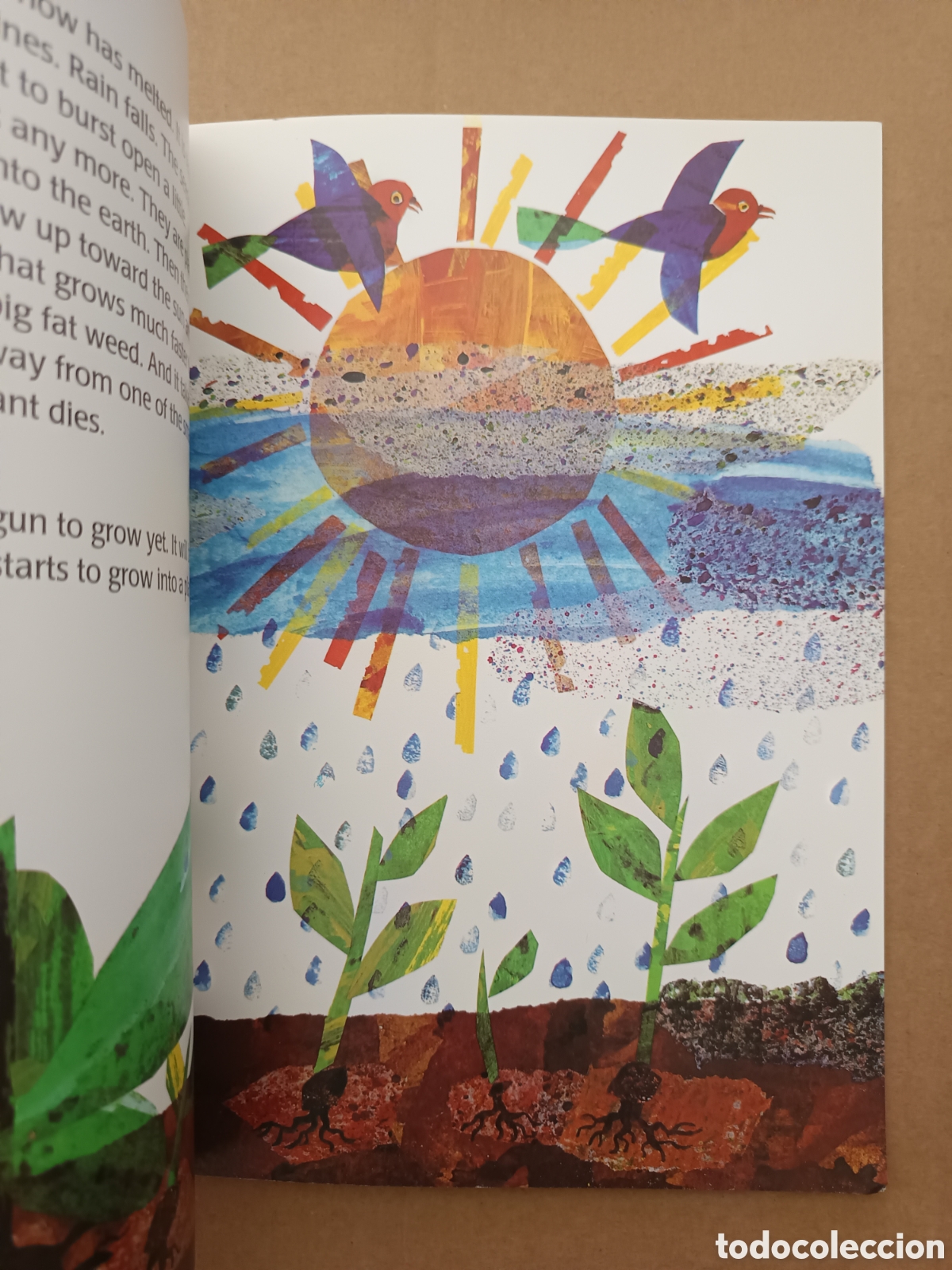 Libros de segunda mano: The Tiny Seed, por Eric Carle (Scholastic, 1989). En ingl&eacute;s. - Foto 3