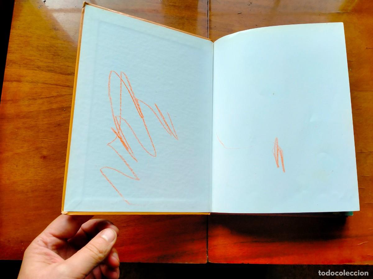 Libros de segunda mano: Cuento Bambi. Circulo de lectores. Disney. - Foto 3