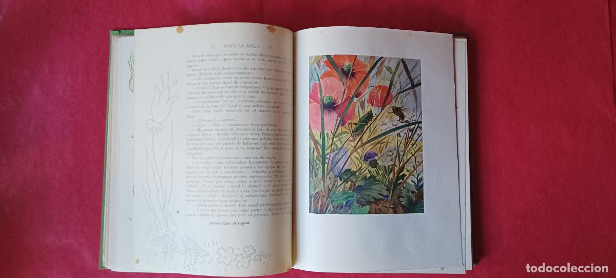 Libros de segunda mano: Maya la abaja. Waldemar Bonsels - Foto 5