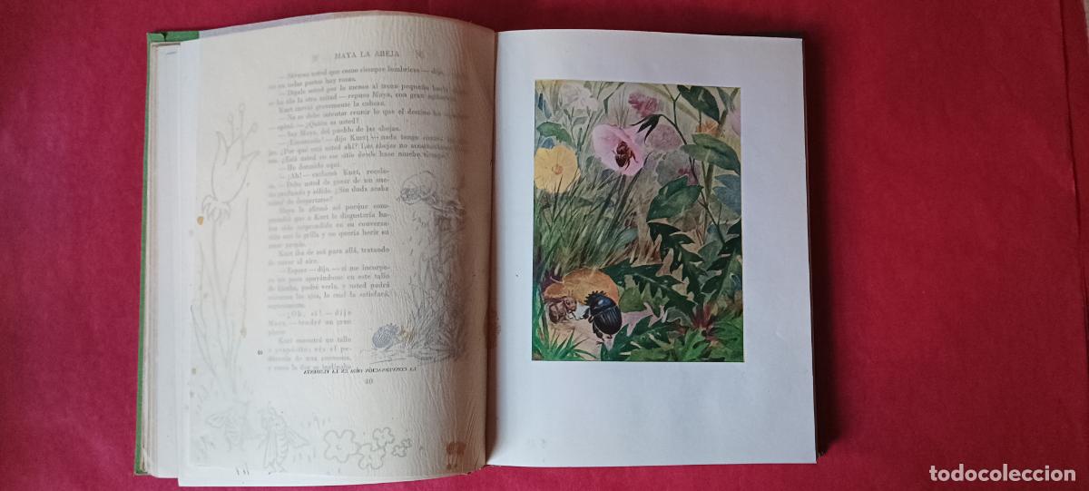 Libros de segunda mano: Maya la abaja. Waldemar Bonsels - Foto 6