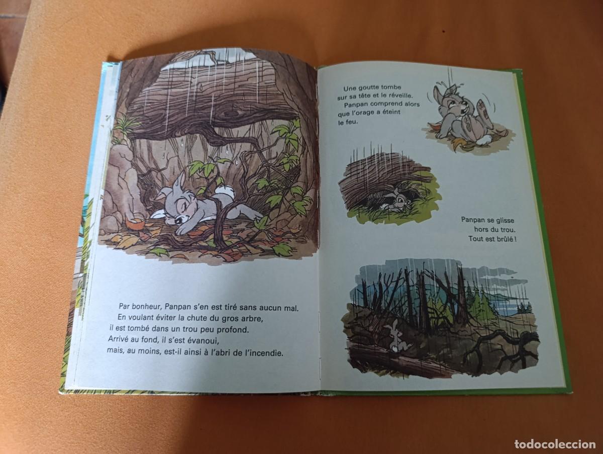 Libros de segunda mano: Cuento Disney PamPam sauve ses amis - Foto 5