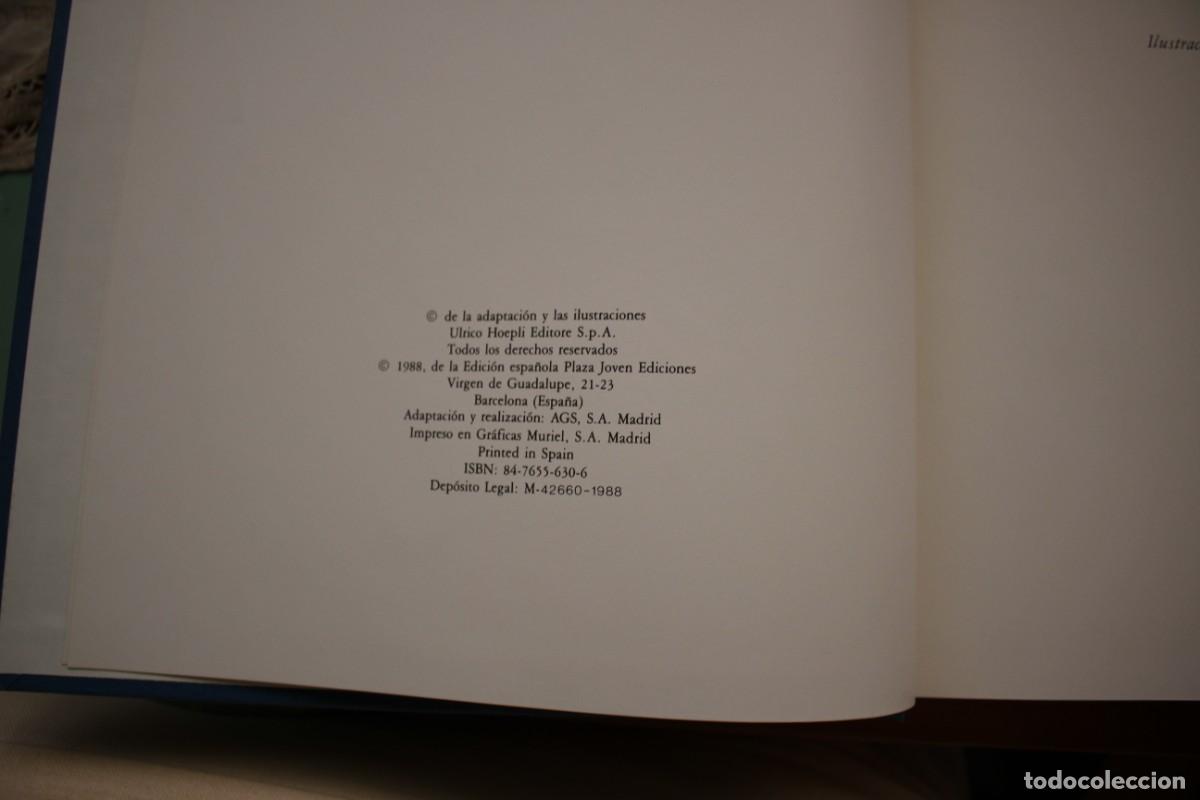 Libros de segunda mano: CUENTOS DE LOS HERMANOS GRIMM. Plaza Joven. - Foto 4