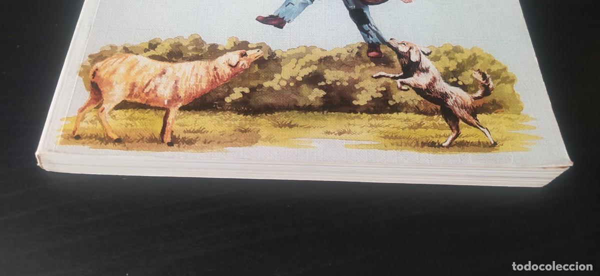 Libros de segunda mano: LIBRO LECTURA EGB COMINO EL PASTOR ESPASA-CALPE - Foto 4