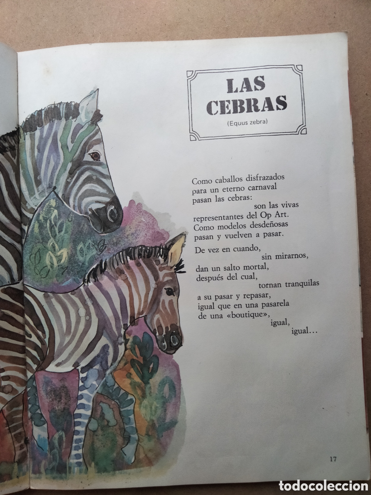Libros de segunda mano: Cuento Ma&ntilde;ana de parque - Foto 8
