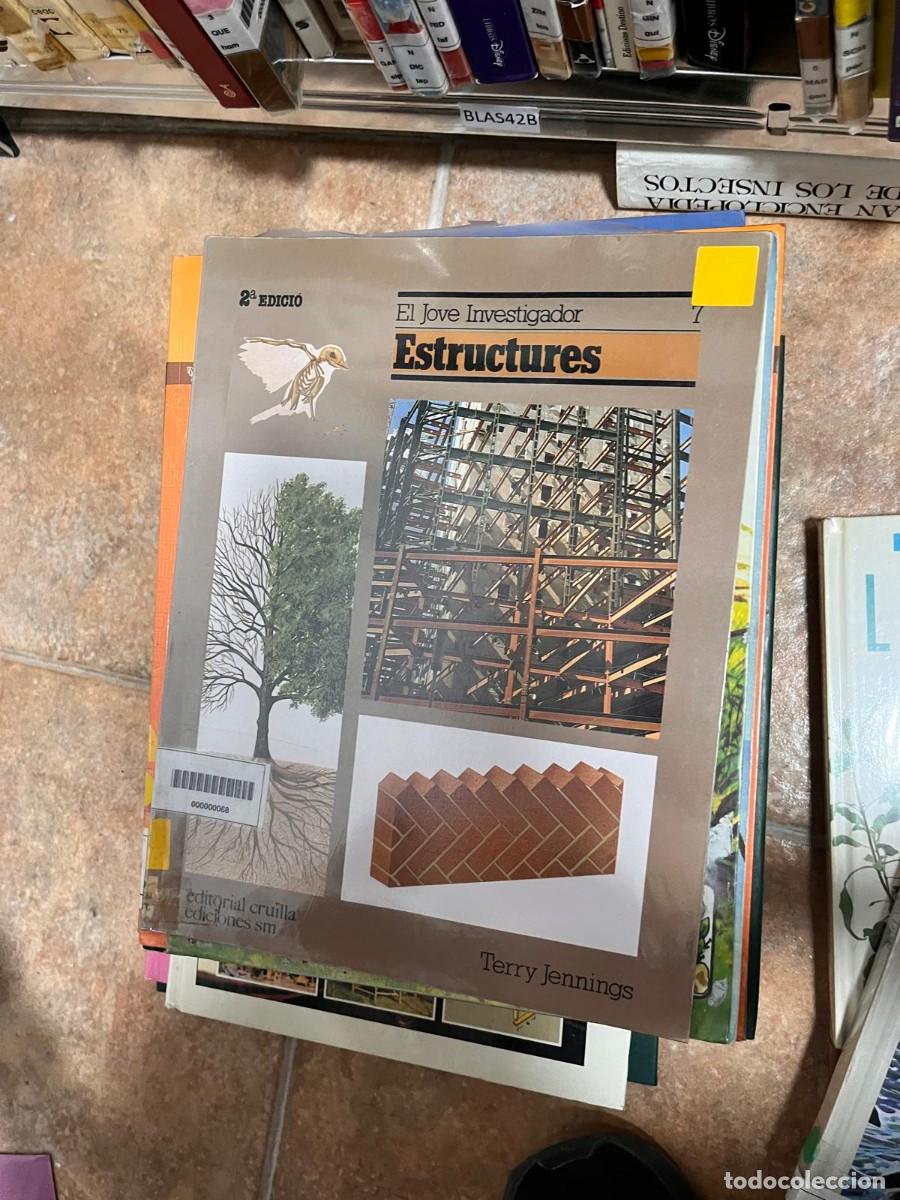 Libros de segunda mano: BLAS42B LIBRO DE BIBLIOTECA, EL JOVE INVESTIGADOR, ESTRUCTURES