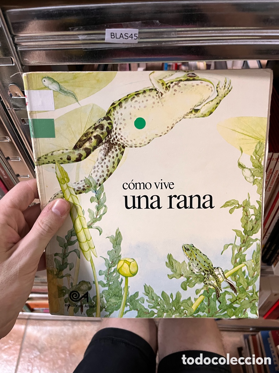 Libros de segunda mano: Blas45 C&oacute;mo vive una rana - Ries Moonen, Martin Hongeweg. Grapa.