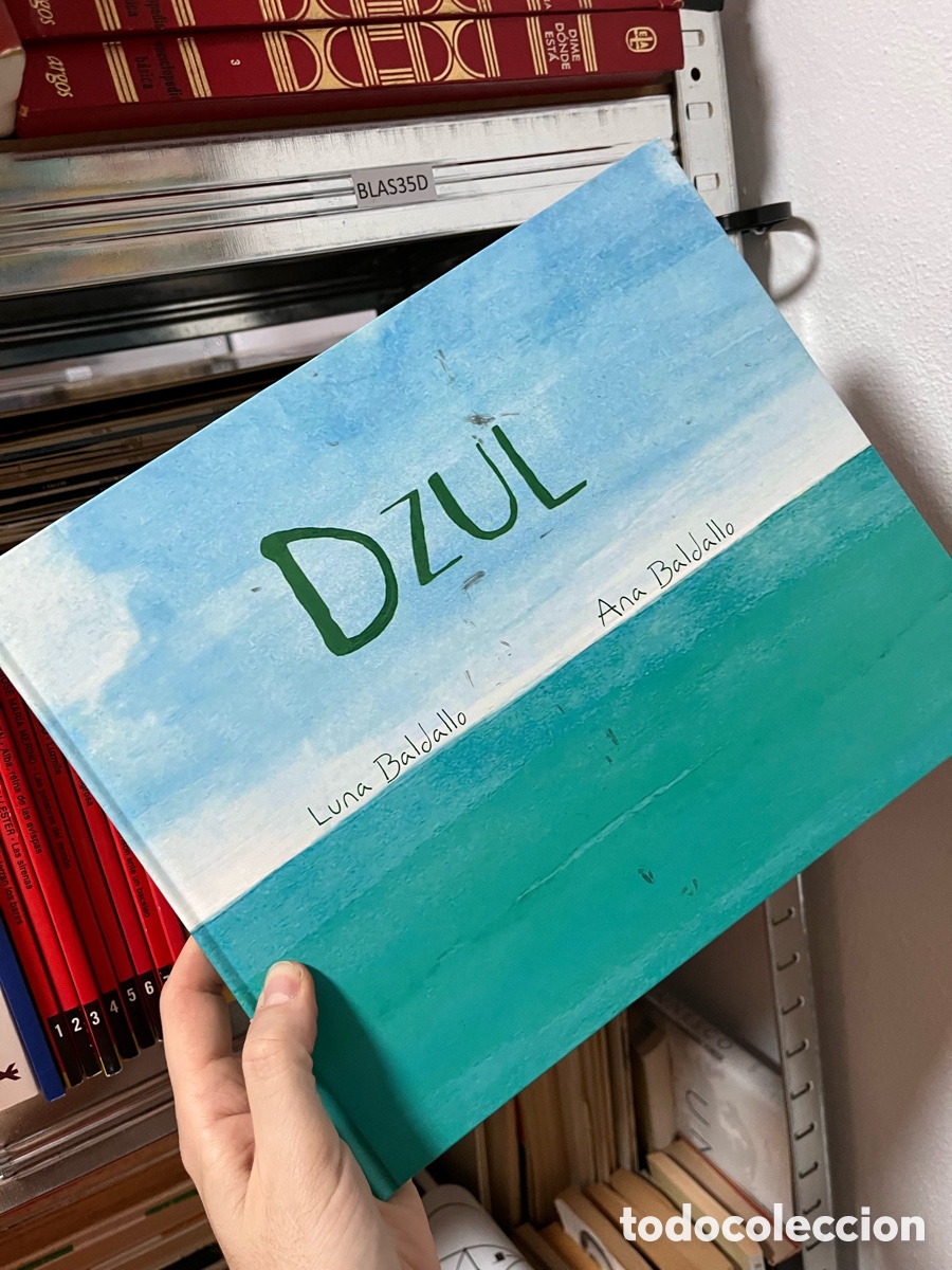Libros de segunda mano: Blas35D cuento ilustrado Dzul (carton&eacute;) Ana y Luna Baldallo