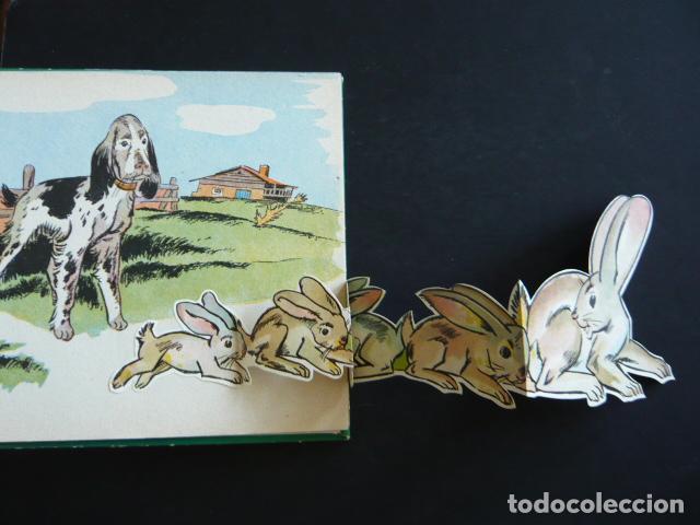 Libros de segunda mano: SEGUIDME POLLITOS CUENTO MOLINO 1948 - Foto 3