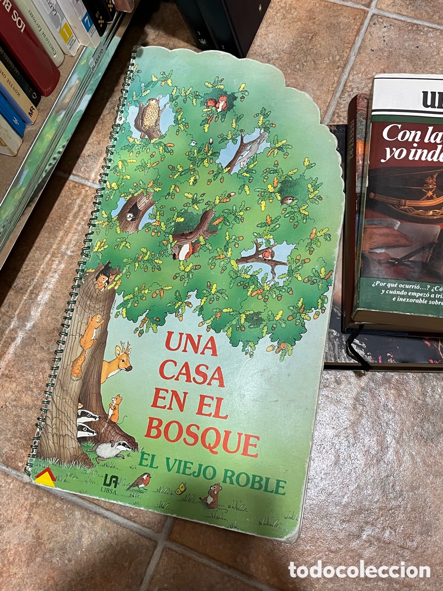 Libros de segunda mano: Blas47D UNA CASA EN EL BOSQUE EL VIEJO ROBLE, gran formato en carton&eacute;
